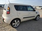 KIA SOUL + photo