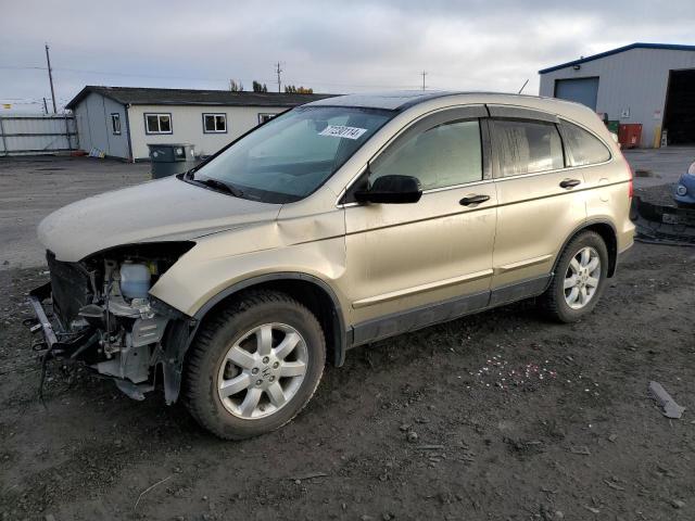 HONDA CR-V EX 2009 gold  gas JHLRE48549C021805 photo #1