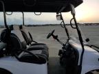 Lot #3027162332 2019 ASPT GOLF CART