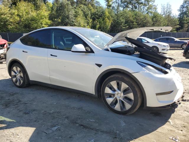 2022 TESLA MODEL Y - 7SAYGAEE8NF358449