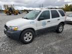 FORD ESCAPE XLT photo