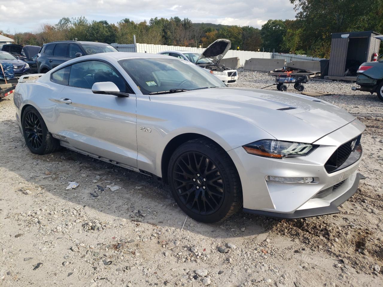 Lot #3034386095 2019 FORD MUSTANG GT