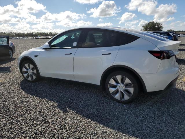 2020 TESLA MODEL Y - 5YJYGDEE4LF031168