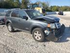 FORD ESCAPE HEV photo