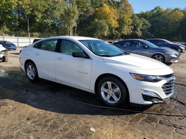 2019 CHEVROLET MALIBU LS - 1G1ZC5ST6KF106318