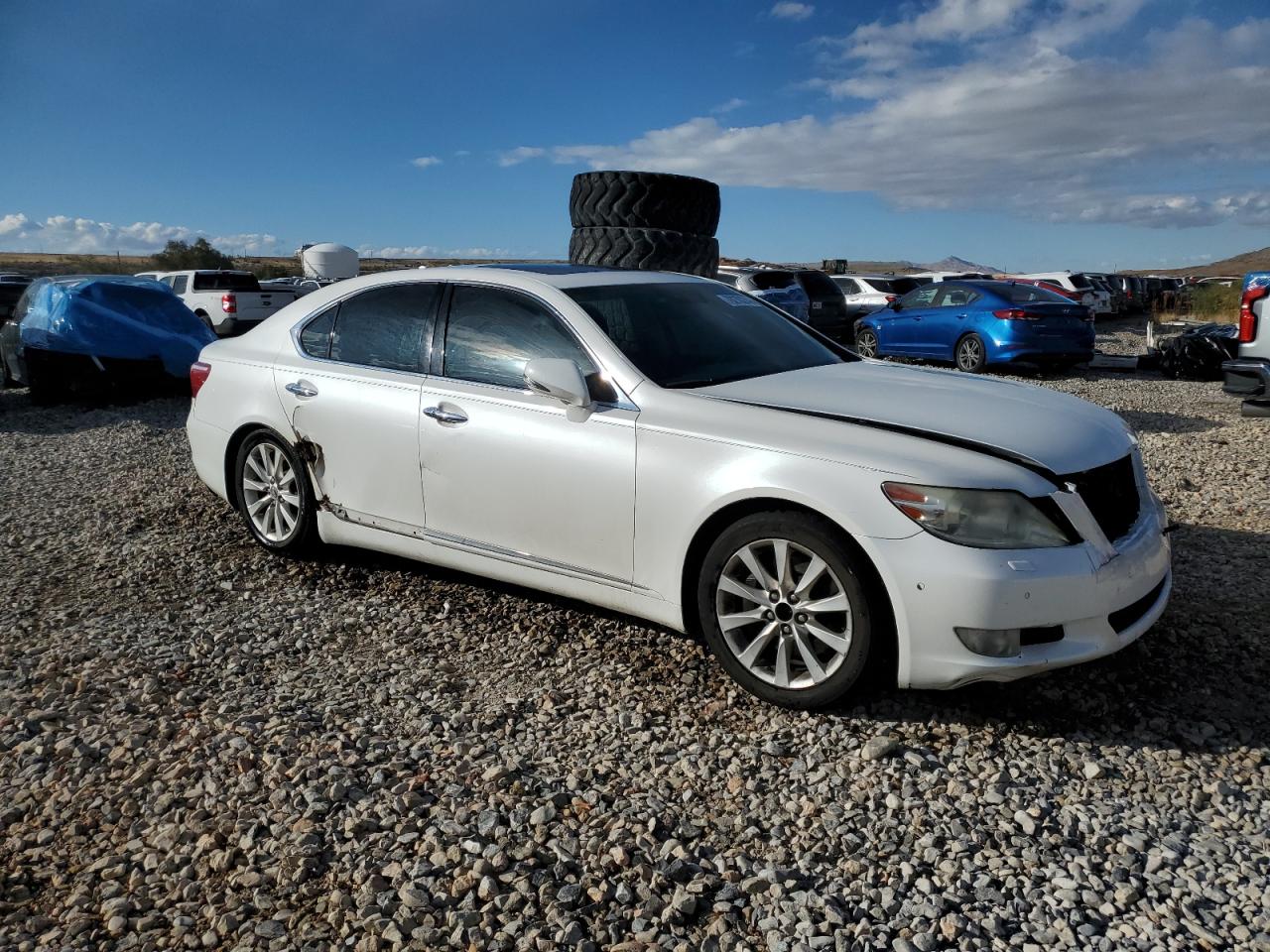 Lot #2960414115 2010 LEXUS LS 460