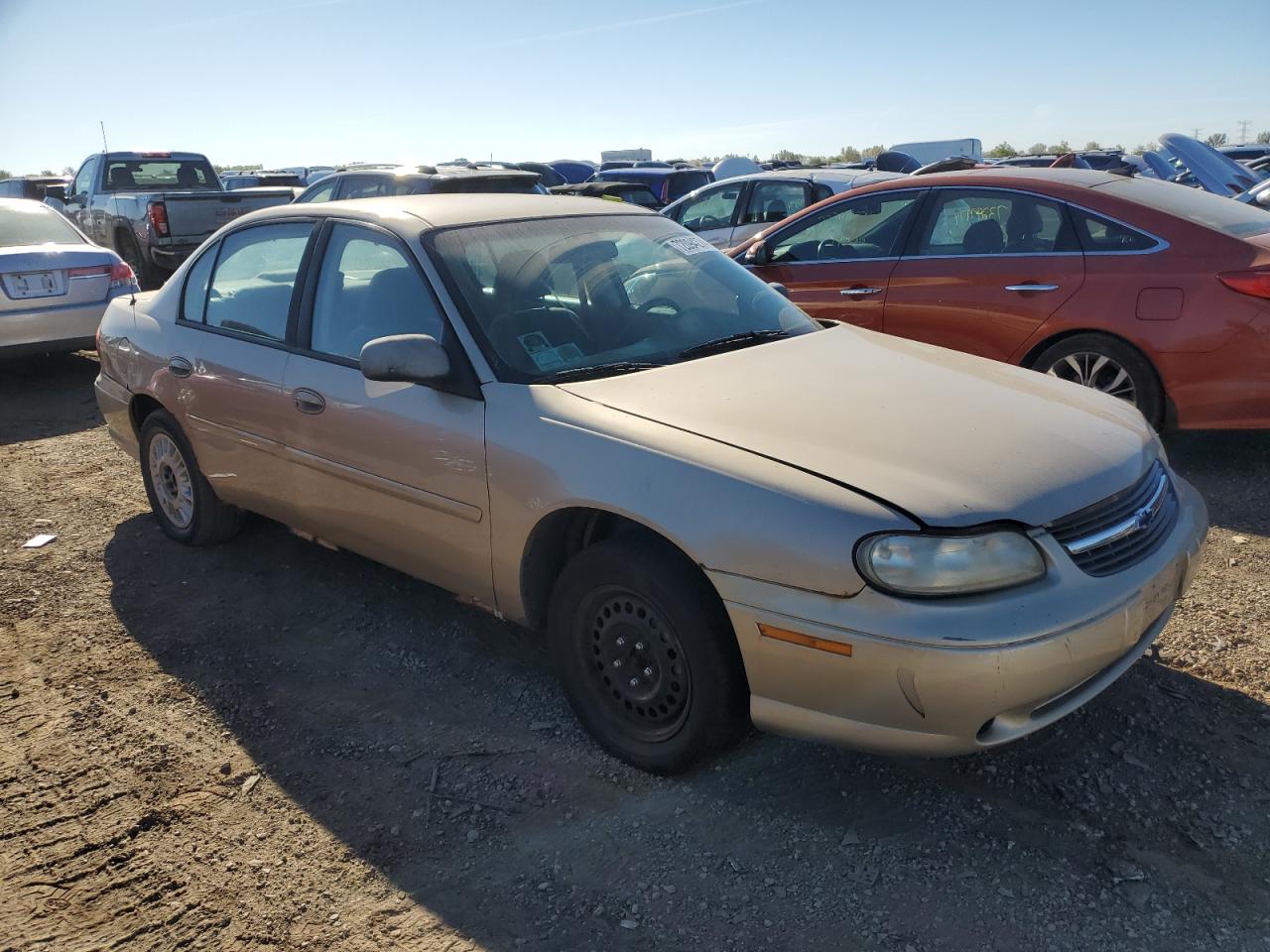 Lot #2998447882 2003 CHEVROLET MALIBU