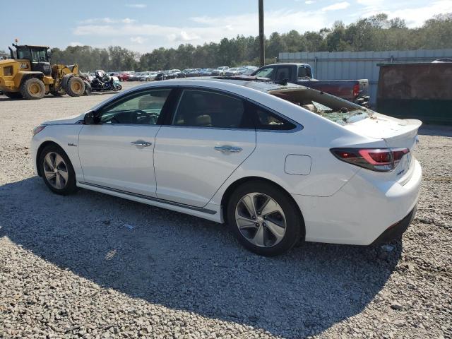 2017 HYUNDAI SONATA HYB - KMHE34L12HA054099