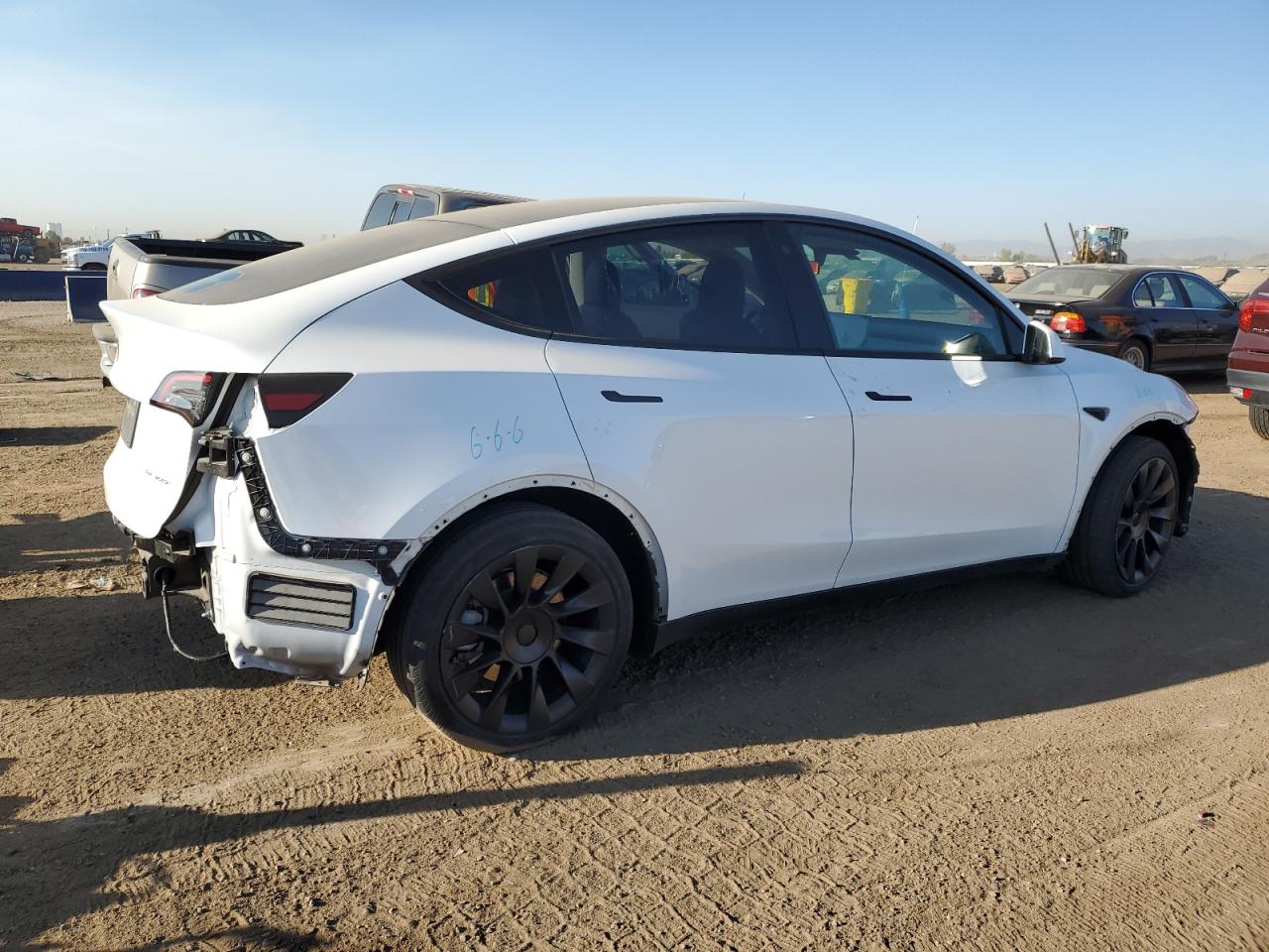 Lot #2921729568 2021 TESLA MODEL Y