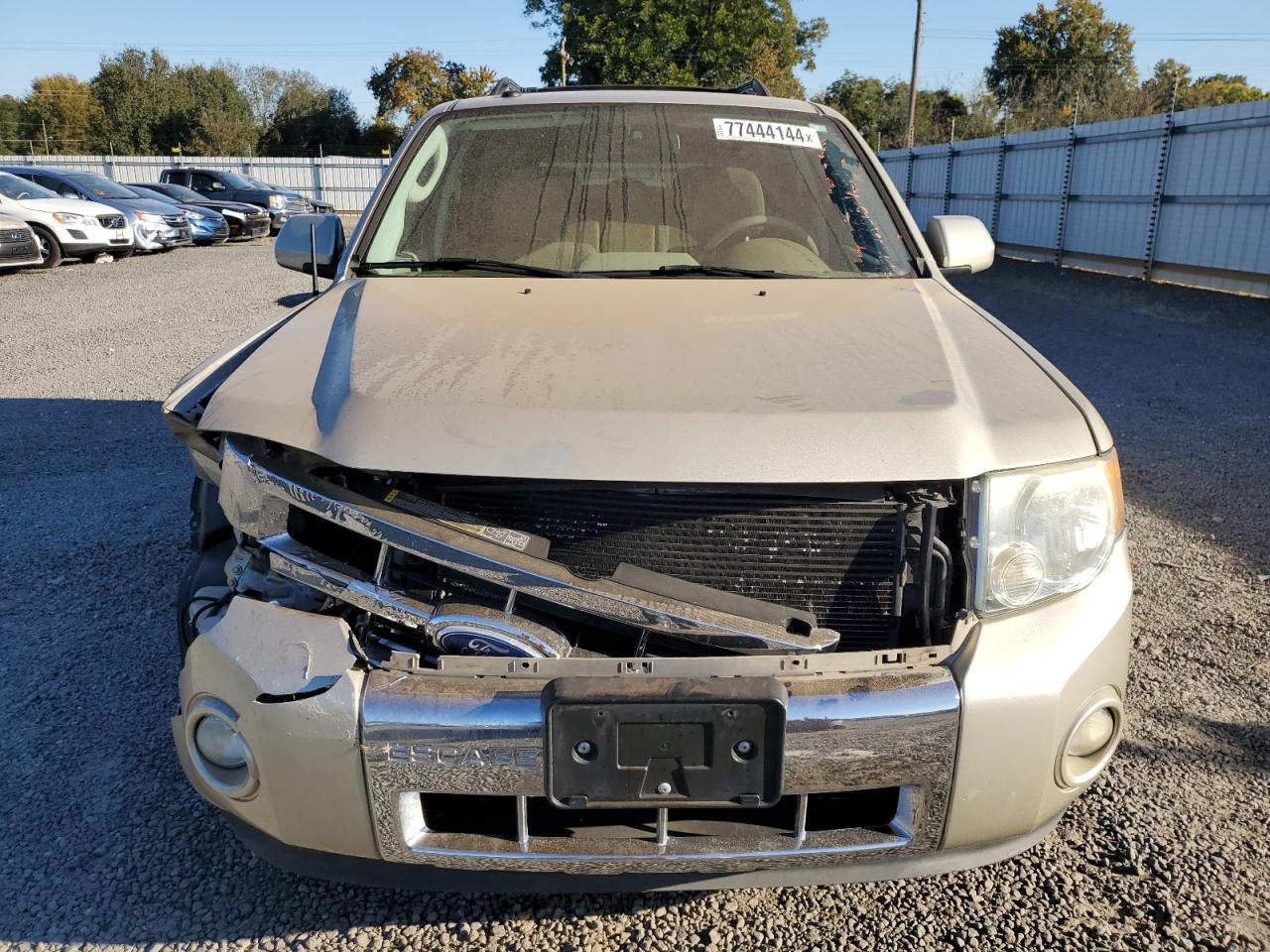 Lot #3025855368 2011 FORD ESCAPE LIM