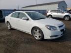 CHEVROLET MALIBU 2LT photo