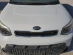 KIA SOUL + photo