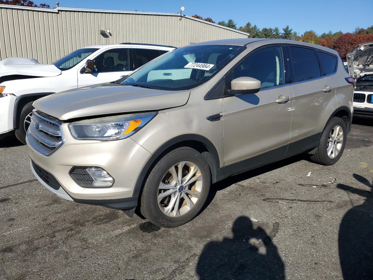 Lot #2990941324 2017 FORD ESCAPE SE