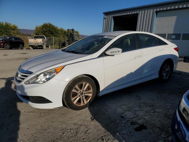 VIN 5NPEB4AC1EH830576 2014 Hyundai Sonata, Gls no.1