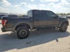 FORD F150 RAPTO photo