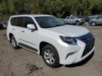 LEXUS GX 460 photo