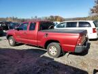 Lot #3025163174 2007 TOYOTA TACOMA ACC