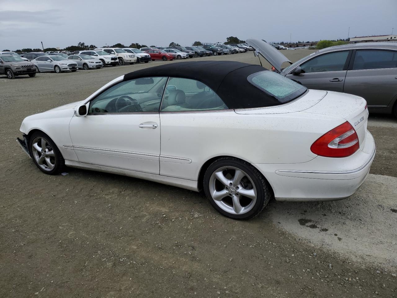 Lot #2937987830 2005 MERCEDES-BENZ CLK 320