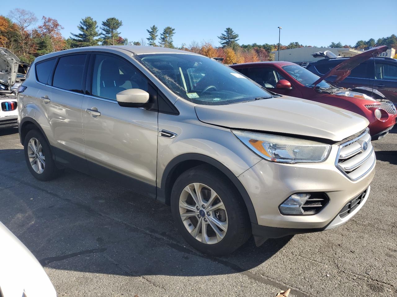 Lot #2990941324 2017 FORD ESCAPE SE