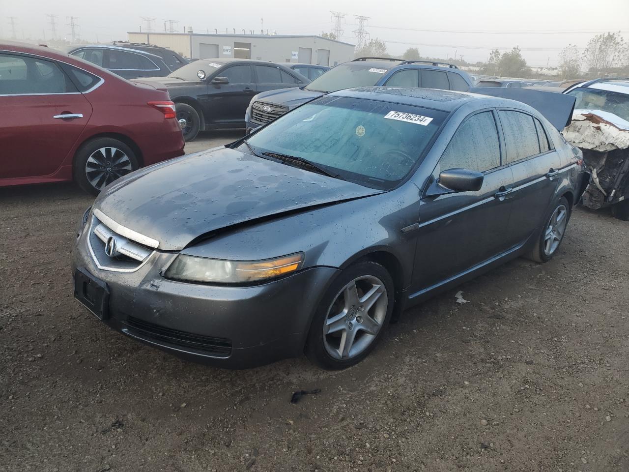 Lot #2909706327 2004 ACURA TL