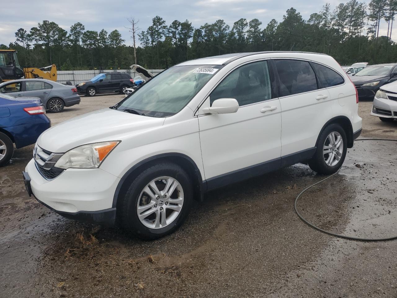 Lot #2974846060 2011 HONDA CR-V EXL