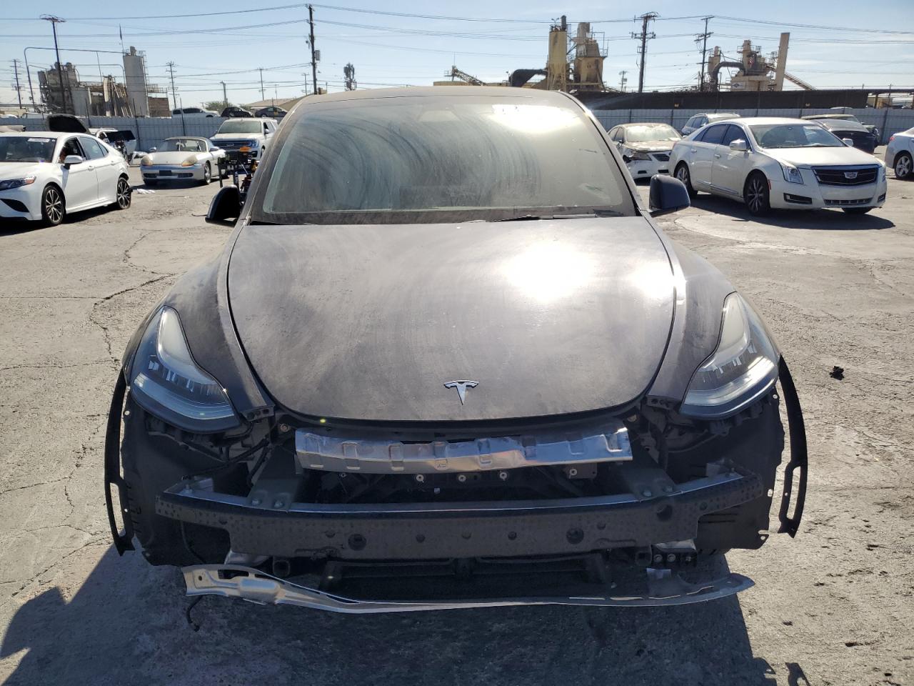 Lot #2991736979 2021 TESLA MODEL Y