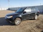 SUBARU FORESTER 2 photo