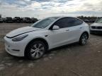 Lot #2957672071 2020 TESLA MODEL Y