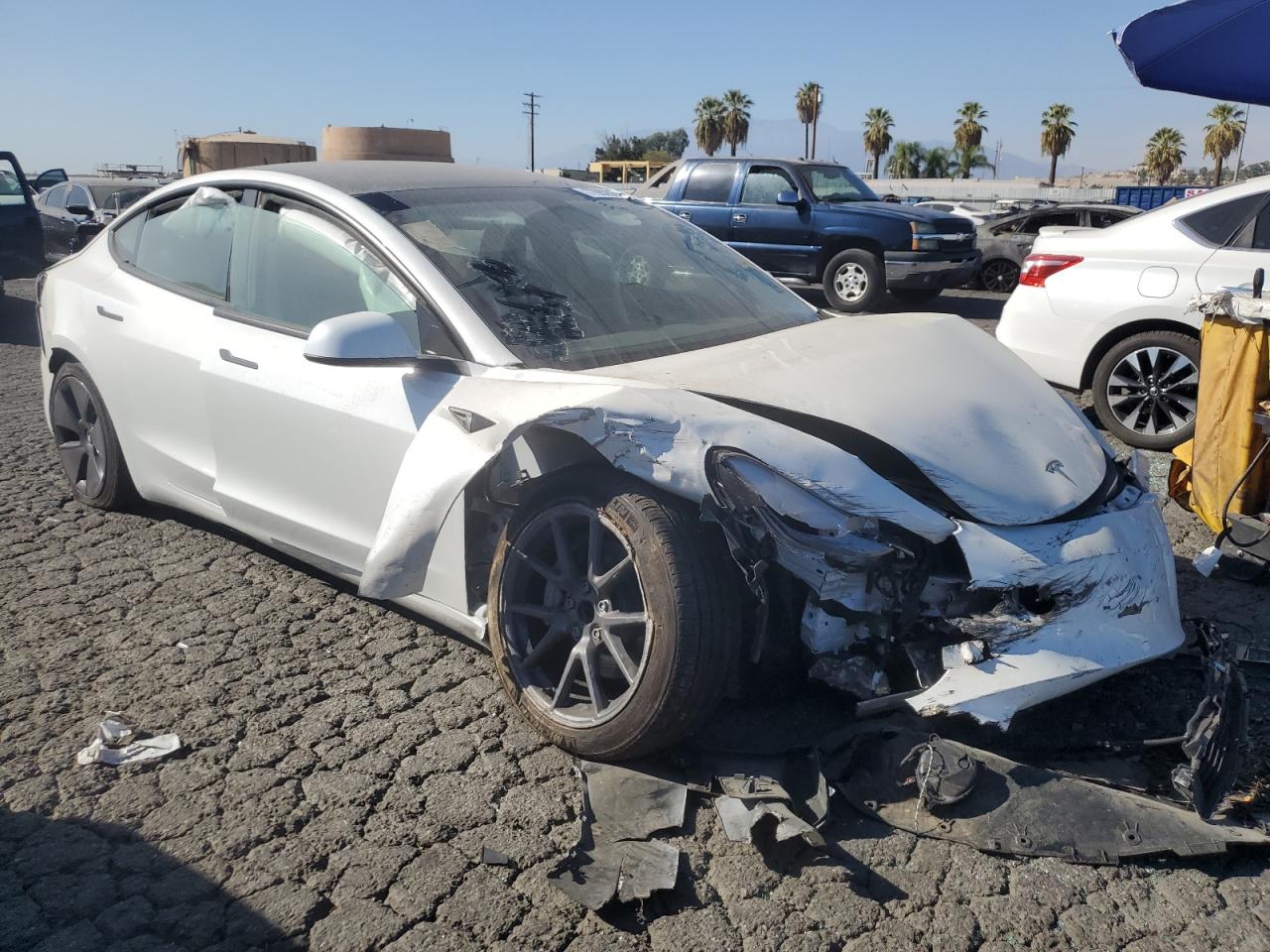 Lot #2993859371 2023 TESLA MODEL 3