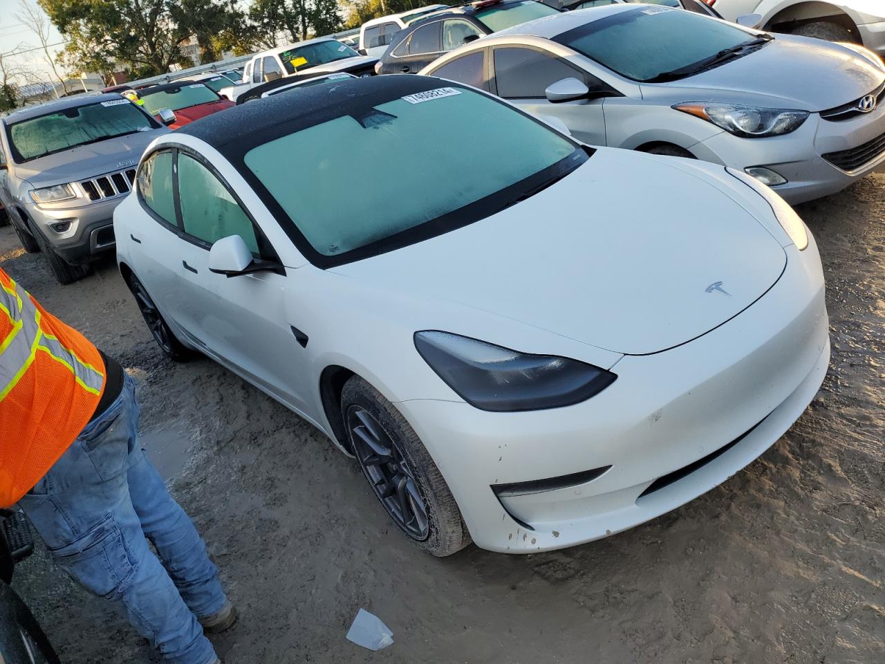 Lot #2955589838 2021 TESLA MODEL 3