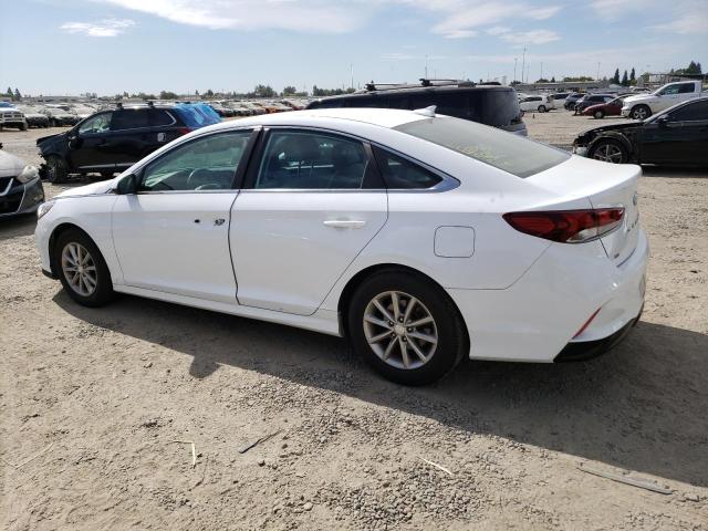 2019 HYUNDAI SONATA SE - 5NPE24AF3KH762772