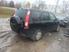 HONDA CR-V SE photo