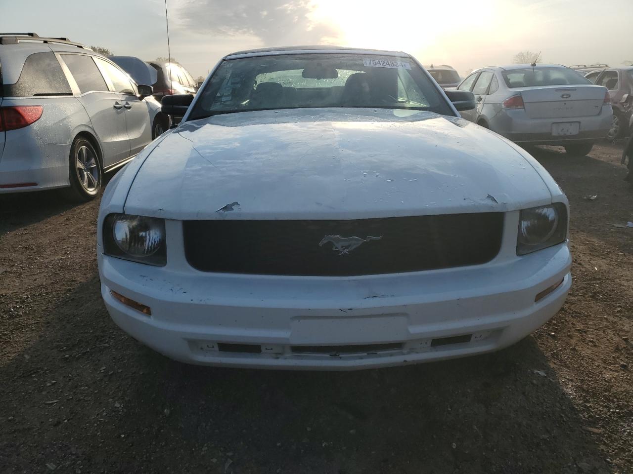 Lot #2962700068 2007 FORD MUSTANG