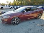 2017 NISSAN MAXIMA 3.5 - 1N4AA6AP4HC404290