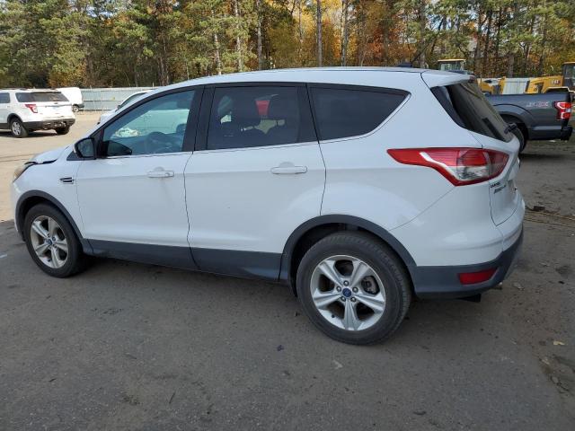 VIN 1FMCU0GXXDUB16501 2013 Ford Escape, SE no.2