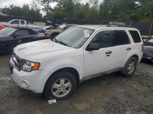 2010 FORD ESCAPE XLT #3024832357