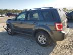 FORD ESCAPE HEV photo