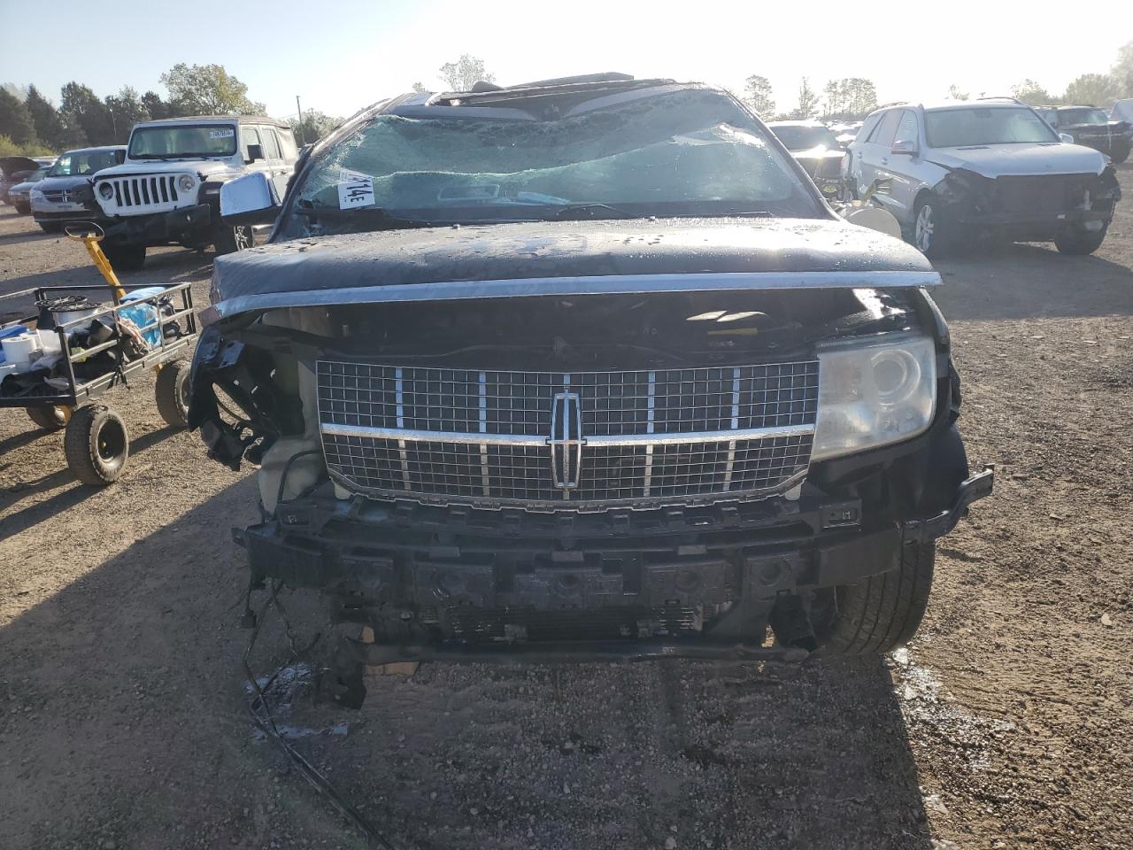 Lot #2926252395 2009 LINCOLN MKX