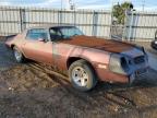 Lot #3023403294 1979 CHEVROLET CAMARO