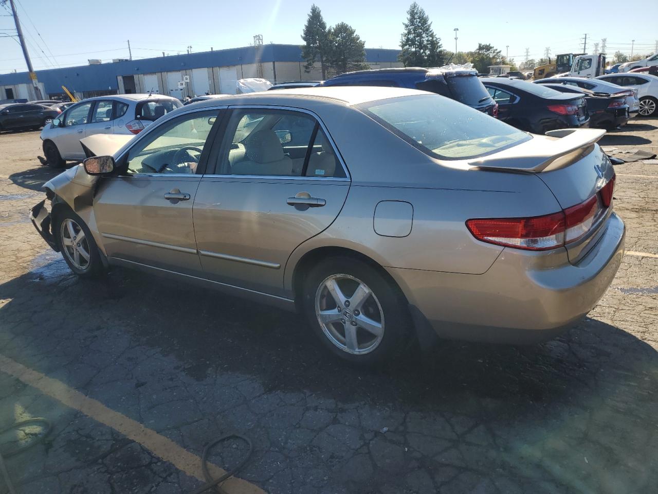 Lot #3031746000 2003 HONDA ACCORD EX