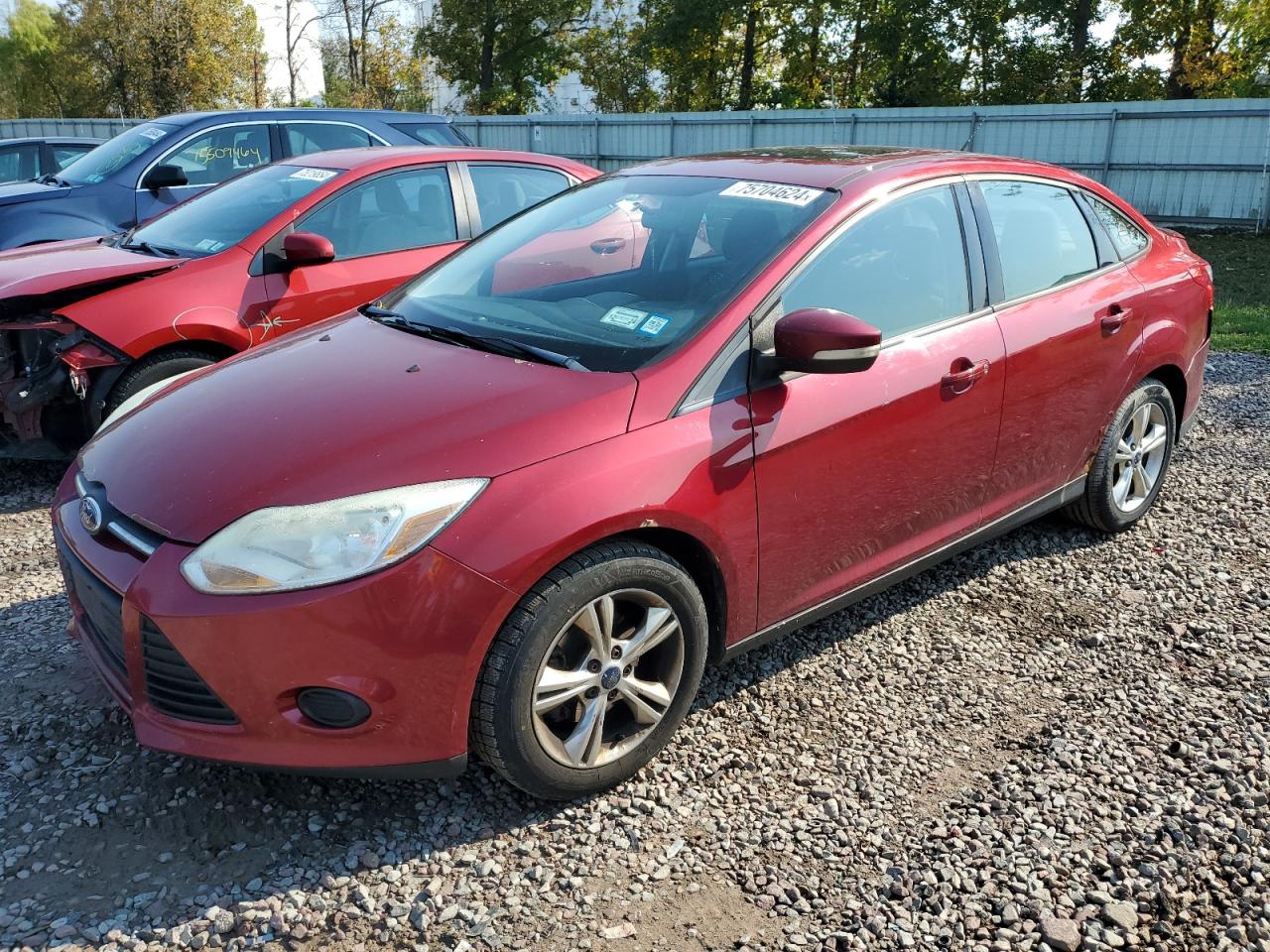 Lot #2902071983 2013 FORD FOCUS SE