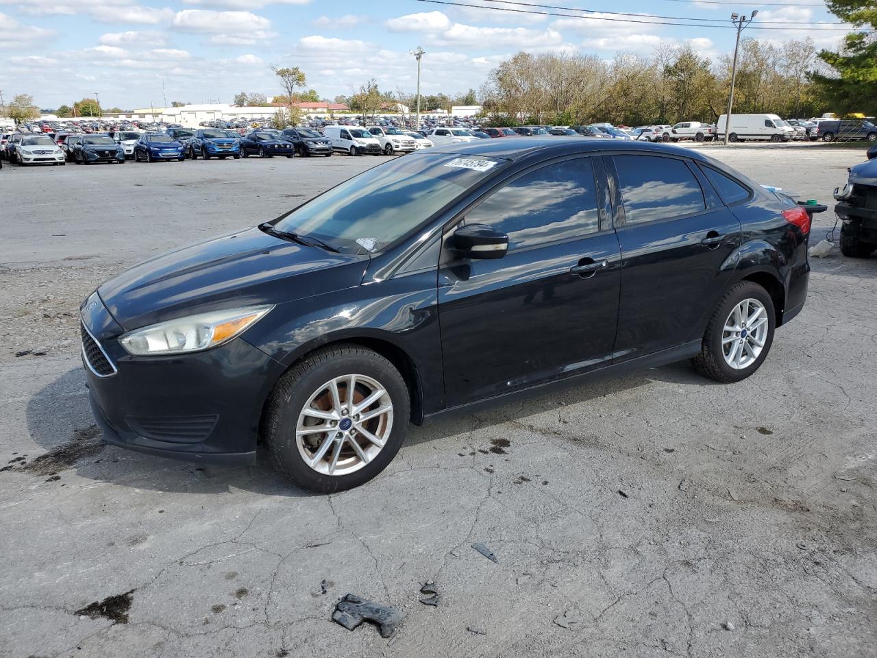 Lot #3024668600 2015 FORD FOCUS SE