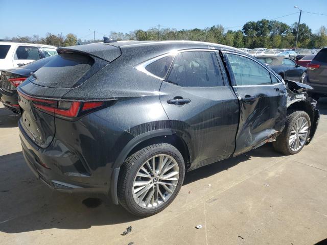 2024 LEXUS NX 350 LUX 2T2HGCEZ2RC039677