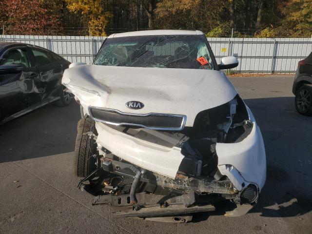 VIN KNDJN2A22E7012067 2014 KIA Soul no.5