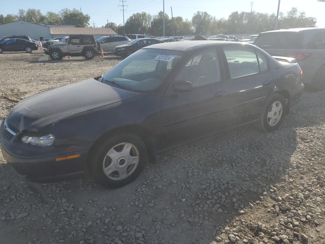 Lot #3030411472 2001 CHEVROLET MALIBU LS