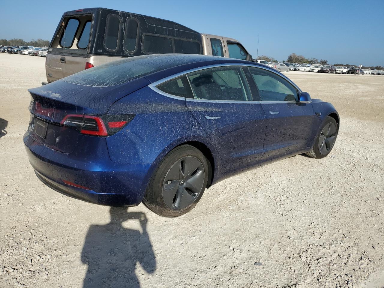 Lot #2962631069 2020 TESLA MODEL 3