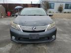 LEXUS HS 250H photo