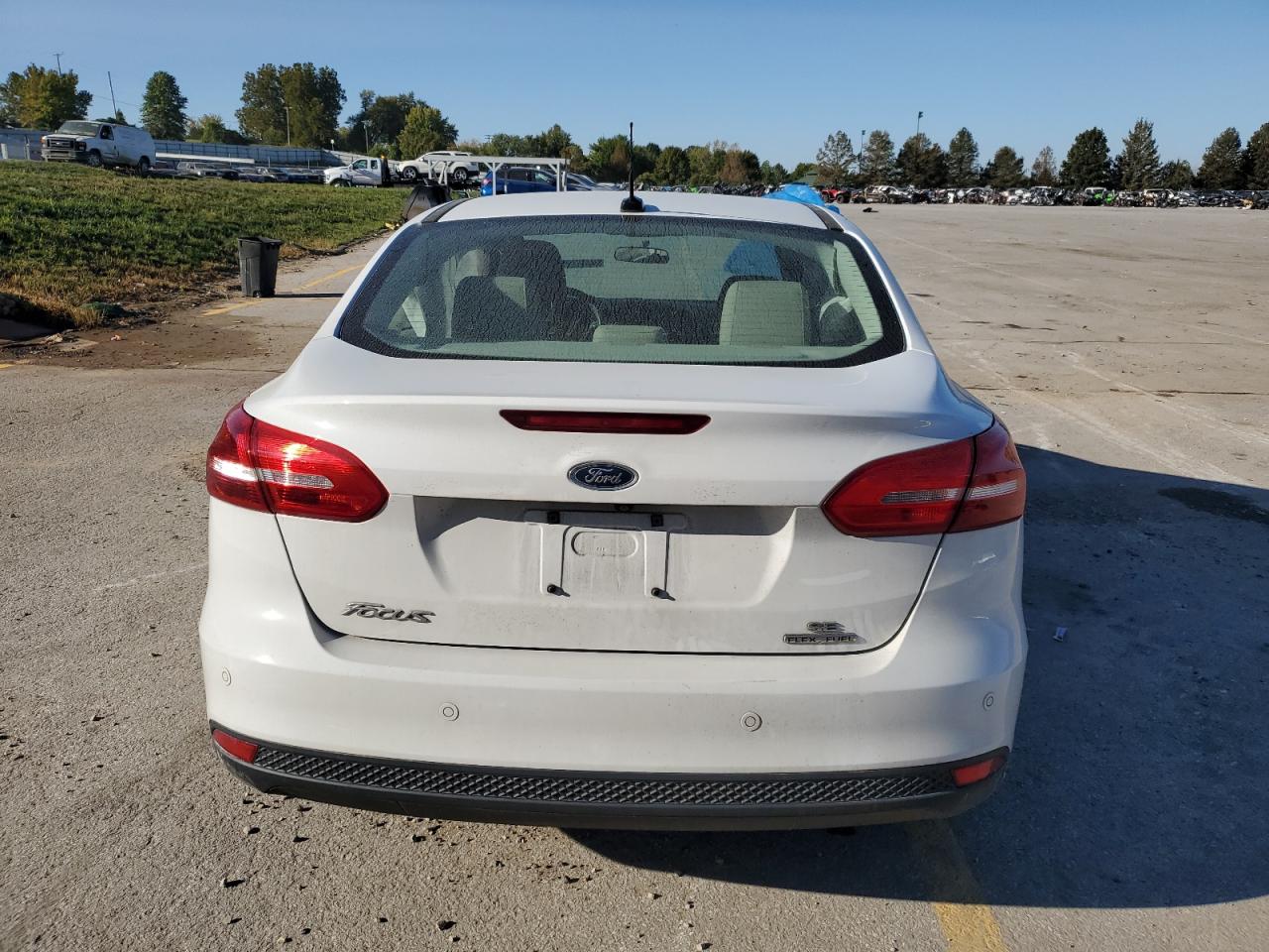 Lot #2905188474 2016 FORD FOCUS SE