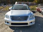 LEXUS LX 570 photo