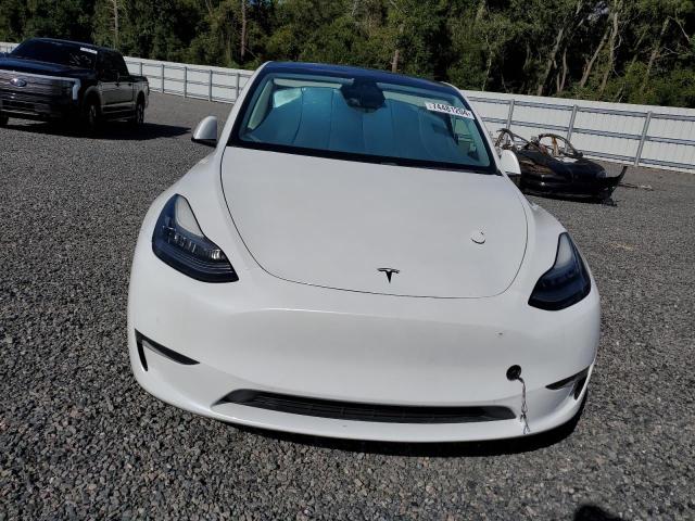 2020 TESLA MODEL Y - 5YJYGDEE4LF031168